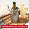 Vacu Vin Rapid Ice Champagne Cooler - Platinum, 44 cm