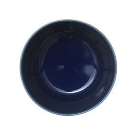 natural69 Erotoridori [Bowl M] Dark Blue