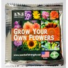 20 Pcs Multicolor Dwarf Variegated Sunflower Seeds Home Garden Decor