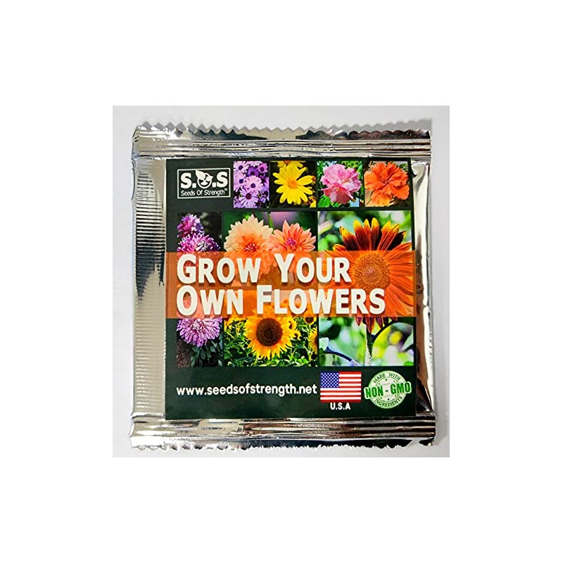 20 Pcs Multicolor Dwarf Variegated Sunflower Seeds Home Garden Decor