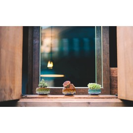 LAMDAWN Cute Ceramic Succulent Garden Pots, Planter with Drainage and Attached Saucer, Set of 5 -Plants Not Included (Round)