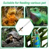 JIYIN 3 Pcs Reptile Feeding Tweezers, Long Aquarium Tweezers Stainless