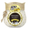 SHALDAN SHALDAN Steki Plus Car Exclusive Moonlight Bubble Scent, 3.2