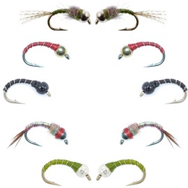 The Fly Fishing Place Basics Collection - Essential Bead Head Midge Nymph Assortment - 10 Wet Flies - 5 Patterns - Hook Sizes 14, 16, 18