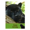 Black Panther Birthday Card