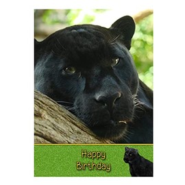 Black Panther Birthday Card