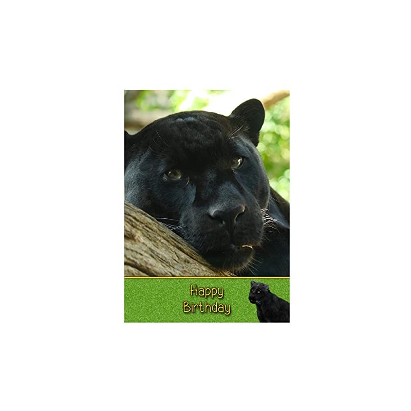 Black Panther Birthday Card