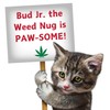 My Name is Bud Jr, Funny Catnip Weed Nug Cat