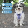 Best Pet Supplies Voyager Adjustable Dog Vest Harness Breathable No