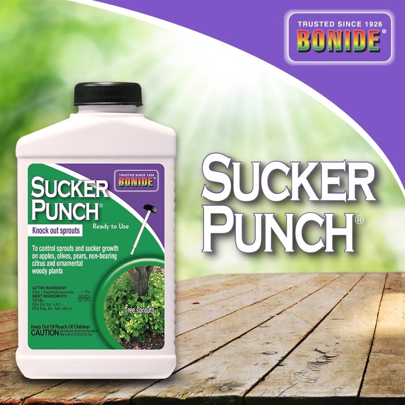 Bonide Sucker Punch, 8 oz Ready-to-Use Sprout Control Liquid with