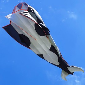 Kaiciuss Orcas Kite for Kids & Adults, Large 3D Single Line for Beach, Huge Frameless Soft Style, Giant Parafoil Whale Breeze Kite, it Comes with 300ft String Hoop