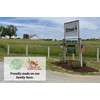 Wholesome Harvest Non-GMO Turkey & Game Bird Starter Feed –