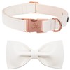 Elegant little tail Dog Collar with Bow - White Dog