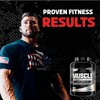 Nutrex Research - Muscle Infusion 5 lb - 67 ser