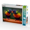 CALVENDO Puzzle Lori Parrots 1000 Pieces 64 x 48 cm