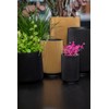 Capi Europe - Pot Tall Groove Black & Gold -