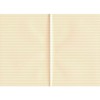 Vermilion (Vermilion) B6 notebook [Lateral Ruled] N67
