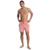 Quiksilver Men Everyday Flex Volley 15" Desert Sand L L