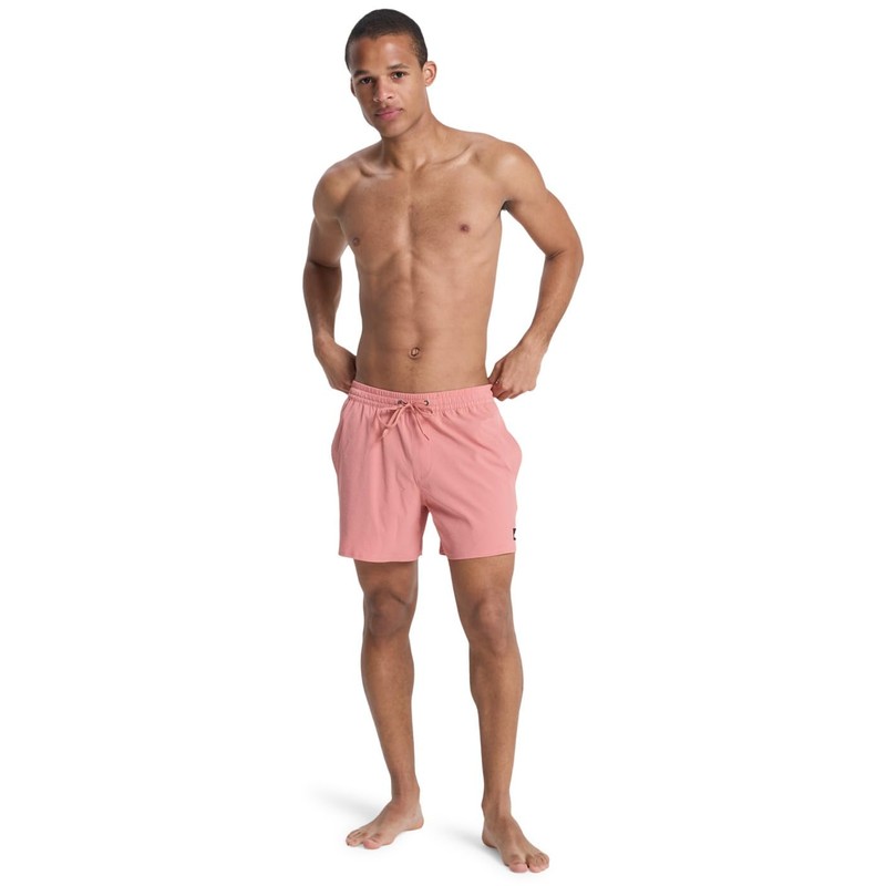 Quiksilver Men Everyday Flex Volley 15" Desert Sand L L