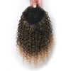 Afro-Pferdeschwanz-Extensions, amerikanisch, lockig, kurzes Haar, Afro-Pferdeschwanz, amerikanisch (30,5 cm, 1B/27#)