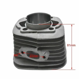 TDR 2 Stroke 80CC 66CC Engine Kit Rebuild Cylinder Barrel 47mm Bore for Motorized Bicycle Push Bike