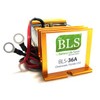 36 Volt Battery Desulfator