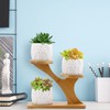 Gearific Succulent Pots, Ceramic Flower Pot with Bamboo Tray Holder,