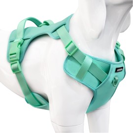 AIITLE Hundegeschirr für kleine Hunde mit Griff, No-Pull-Haustiergeschirr mit Sicherheitsschnalle, Outdoor-Haustierweste für extra kleine Hunde, Grün, XXS