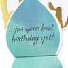 American Greetings Birthday Card (Great Big Wish)