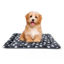 Dog Bed Mat – Reversible All-Season Washable Cooling & Warming Support for Dogs and Cats – Soft, Durable, Ideal for Indoor & Outdoor Use – Medium (30" x 20" x 1.1" / 76cm x 51cm x 3cm)