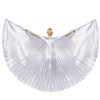 Baisdan Angel Isis Wings (Wings + Stick + Carry Bag)