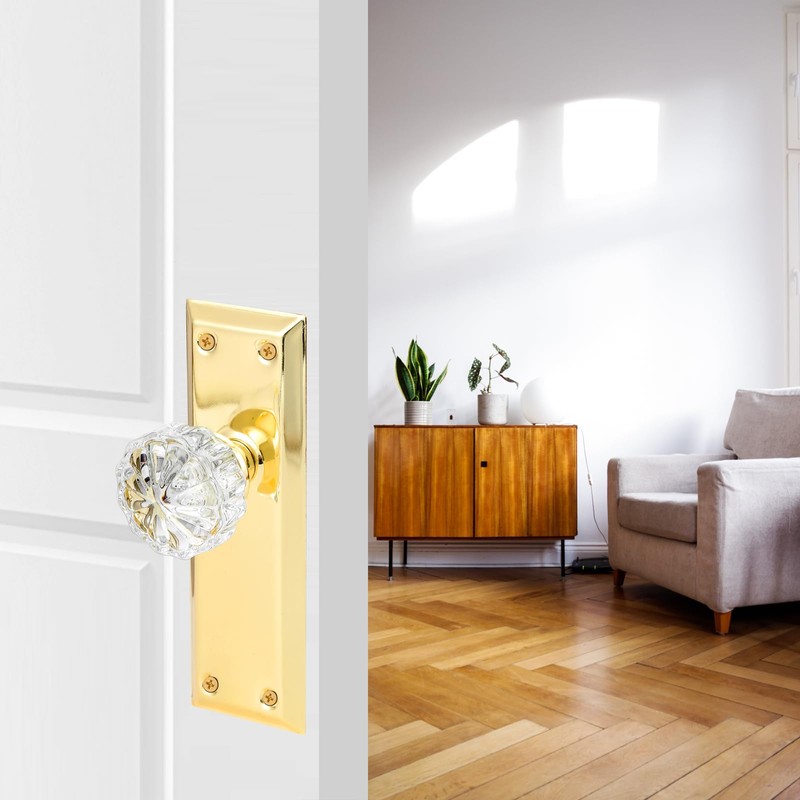 ToPToToo Single-Side Glass Dummy Door Knobs,Inactive Door Knobs for Closet,Antique