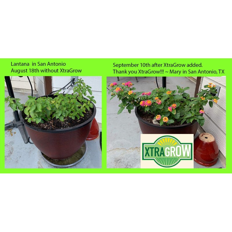 XtraGrow Plant Food