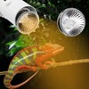 CN Reptile Sun Light UVA UVB Lamp Clip Lights for