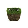 SuperMoss (55071 Ventura, Fresh Green, Small