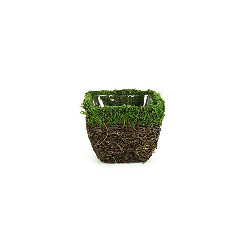 SuperMoss (55071 Ventura, Fresh Green, Small