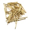 Design61 100x Steel Pins Steel Nails Skirting Board Pins Nail