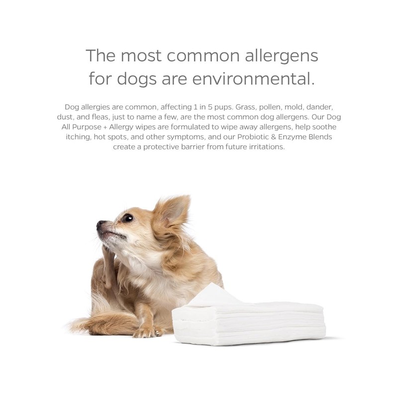 Pet Parents® Pet WiPees™ Dog All Purpose + Allergy Dog