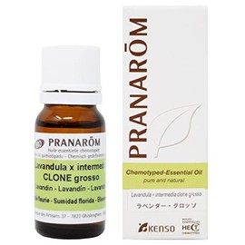 Pranalom Lavender Grosso 0.3 fl oz (10 ml) PRANAROM Chemo Type Essential Oil)