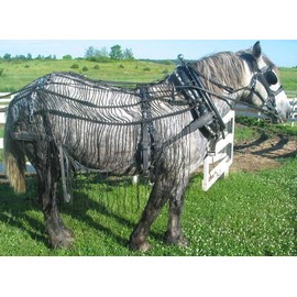 Weaver Leather Nylon Webbing Buggy Horse Fly Net - Fly Sheet