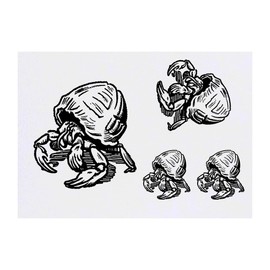 4 x 'Hermit Crab Crawling' Temporary Tattoos - Water Resistant, Skin-Safe, Non-Toxic Transfers, Mixed Sizes (TO00071416)
