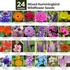 Wildflower Seeds Hummingbird and Butterfly Mix 1 Ounce, No Filler,