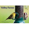 Valley Farms Nyjer Seed Wild Bird Food for Outside Feeders,