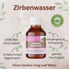 Organic Pine Water 250 ml - Pinus Cembra Twig Leaf