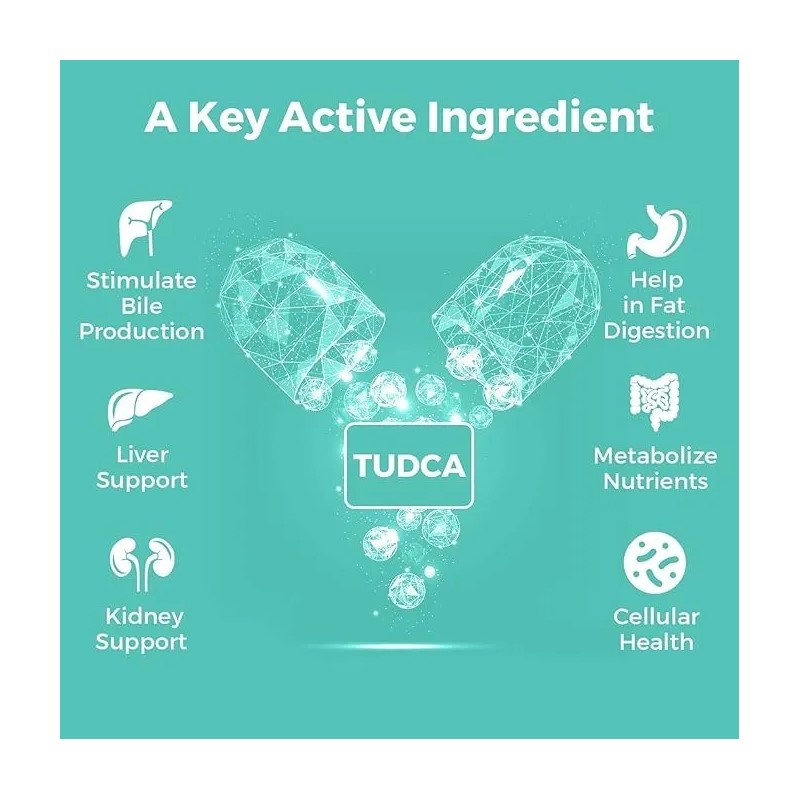Tudca Suplemento De Sales Biliares 1000 Mg Kayseari 60 Caps