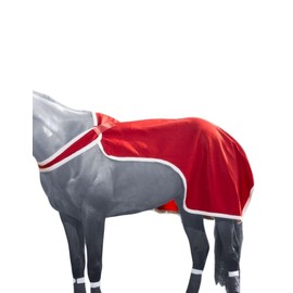 JT International Holiday Santa Quarter Sheet