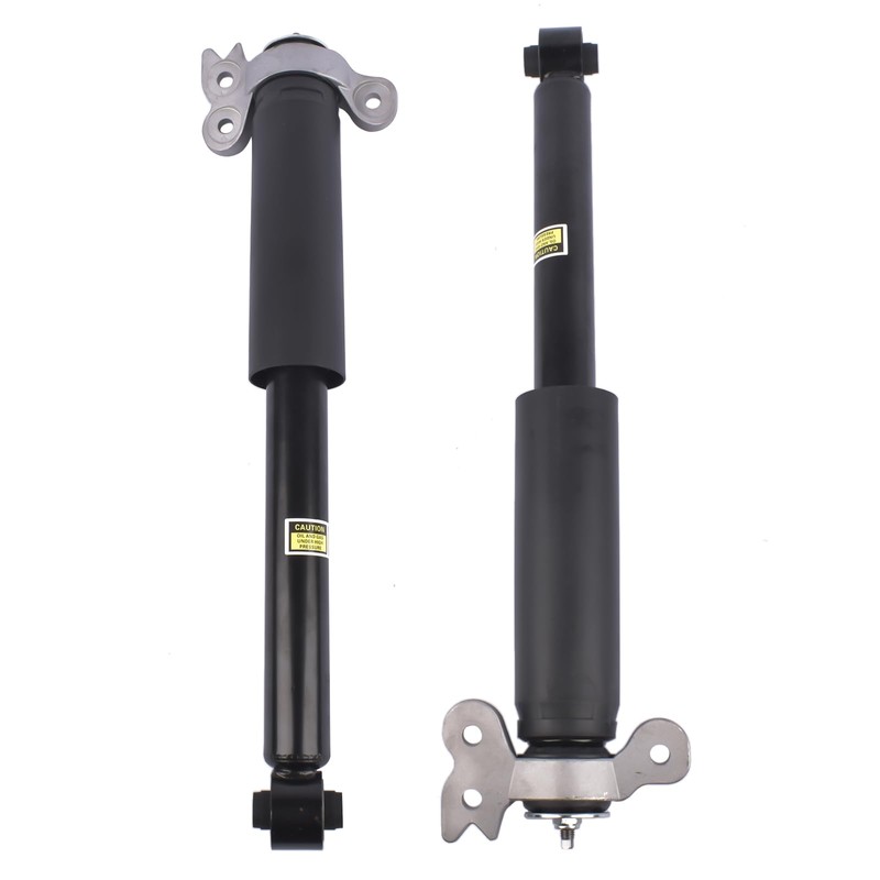 NEWZQ Set of 2 Rear Complete Shock Absorbers Replacement for