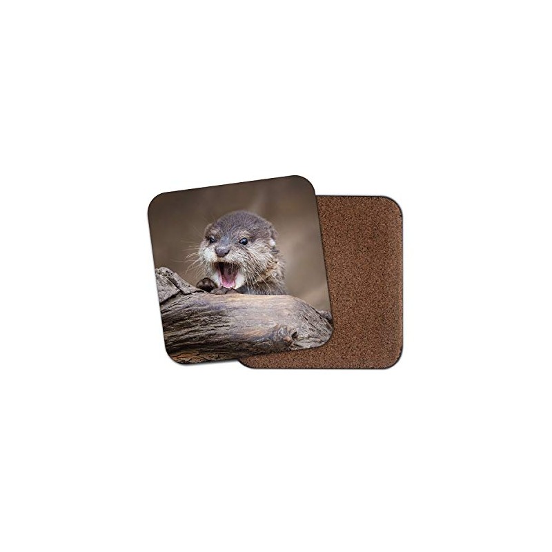1 x Baby Otter Coaster - Wild Animal Nature Cute