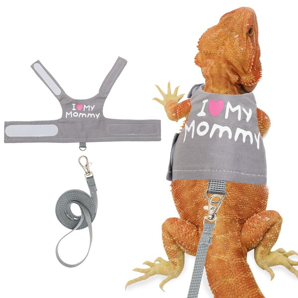 CUSOZWO CUSOZWO Bearded Dragon Harness and Leash Set - Cute