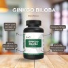 Ginkgo Biloba 120mg 240caps Ayuda Memoria Reduce Fatiga Vnat Sabor